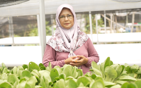 sayur/petani perempuan