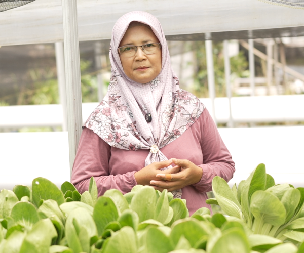 sayur/petani perempuan