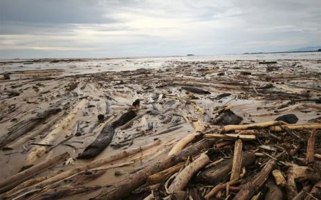 Kayu Hanyutan Disulap Jadi Hunian, Satgas PRR Genjot Pemanfaatan