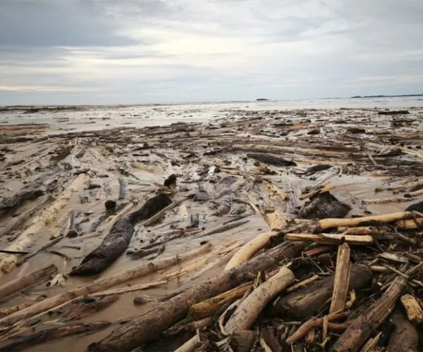 Kayu Hanyutan Disulap Jadi Hunian, Satgas PRR Genjot Pemanfaatan