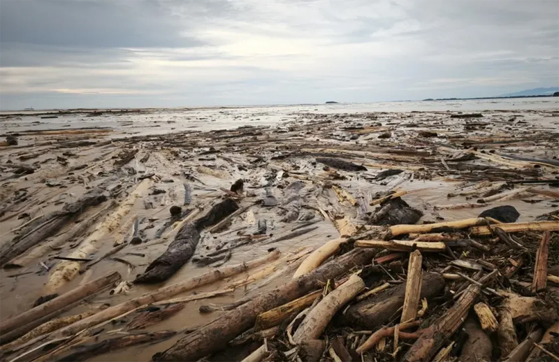 Kayu Hanyutan Disulap Jadi Hunian, Satgas PRR Genjot Pemanfaatan