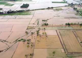 lahan sawah sumatera