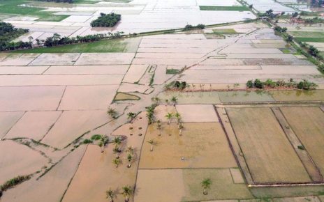 lahan sawah sumatera