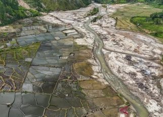 Ribuan Hektare Sawah Terdampak Bencana Mulai Ditanami Kembali