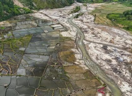 Ribuan Hektare Sawah Terdampak Bencana Mulai Ditanami Kembali