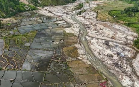 Ribuan Hektare Sawah Terdampak Bencana Mulai Ditanami Kembali