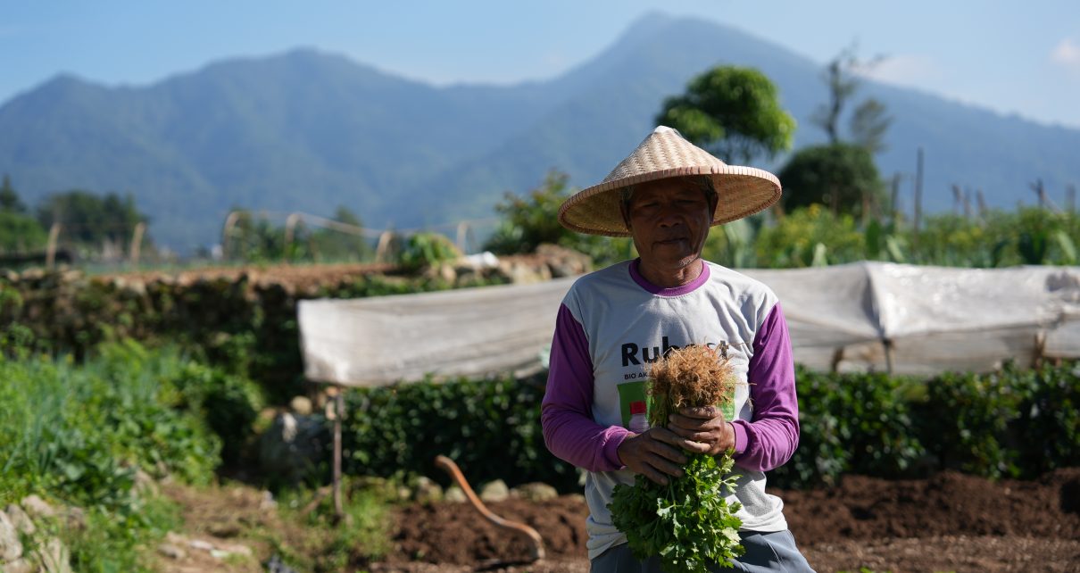 petani di cipanas