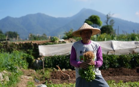 petani di cipanas