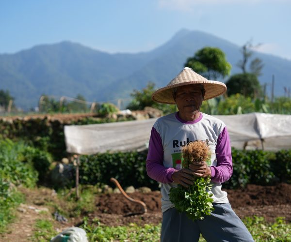 petani di cipanas