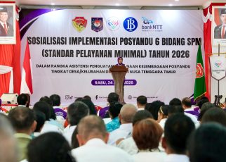 Registrasi Dipercepat, Posyandu Disiapkan Jadi Pusat Pelayanan Dasar Masyarakat