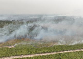 Karhutla Makin Meluas, BNPB Kerahkan Belasan Helikopter di 6 Provinsi