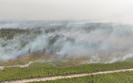 Karhutla Makin Meluas, BNPB Kerahkan Belasan Helikopter di 6 Provinsi