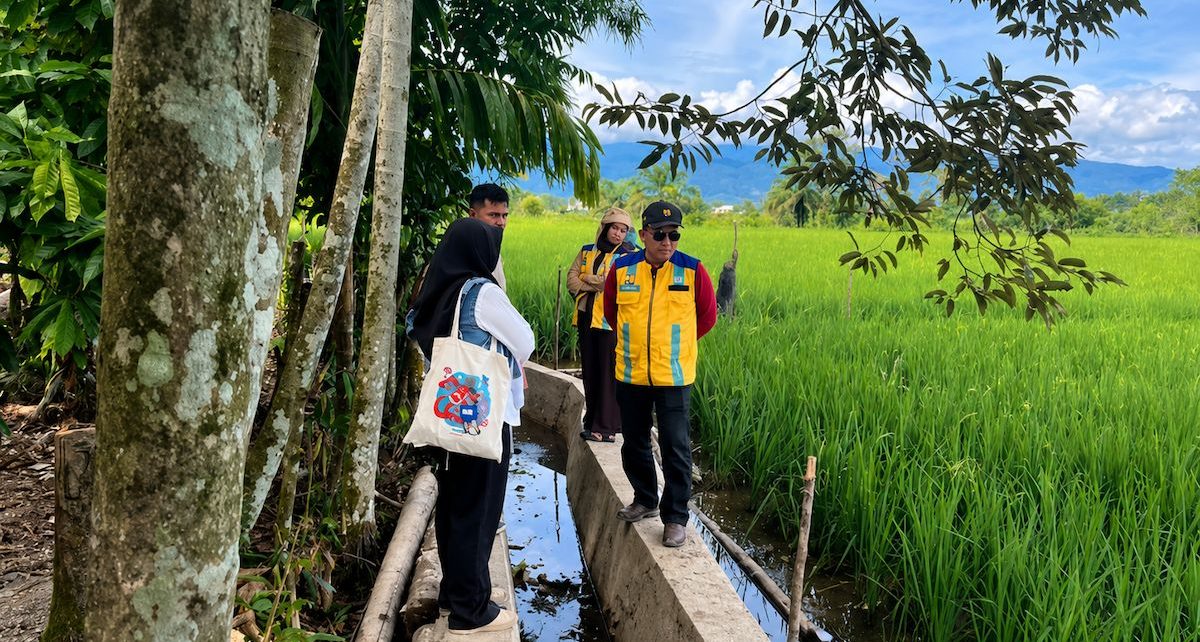 Musim Tanam Dimulai, Nagan Raya Percepat Pemulihan Sawah Terdampak Bencana