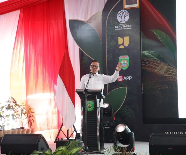 Wamendagri Bima Ajak Daerah Jadikan Penghijauan Gerakan Berkelanjutan