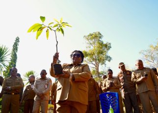 Wamendagri Ajak Warga NTT Tanam Pohon di Lahan Kosong